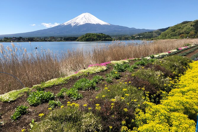 Full Day Mt.Fuji & Gotemba Premium To-And-From Tokyo, up to 12