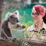 1 full day phillip island tour with kangaroo koala and penguin parade Full-Day Phillip Island Tour With Kangaroo, Koala and Penguin Parade