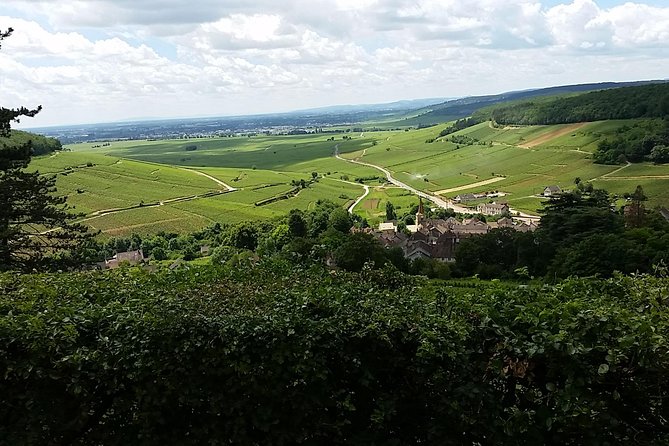 Full-Day Private Burgundy Wine Route Tour From Beaune