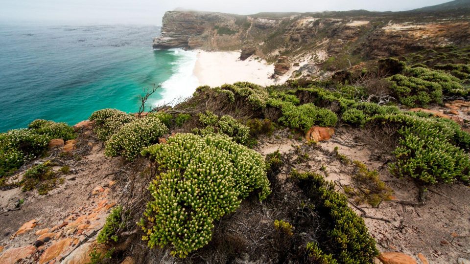 1 full day private cape peninsula and boulders beach tour Full Day Private Cape Peninsula and Boulders Beach Tour