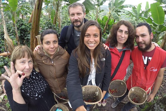 1 full day private coffee tour in cocora valley and salento Full-Day Private Coffee Tour in Cocora Valley and Salento