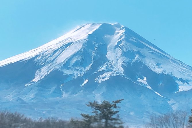 Full Day Private Fuji Tour With English Driver & Muslim Friendly