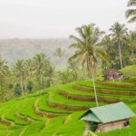 1 full day private north bali tour with free wifi Full-Day Private North Bali Tour With Free Wifi