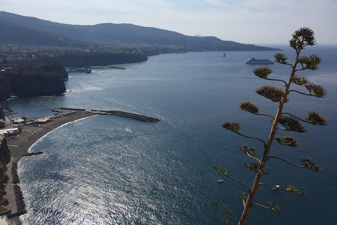 Full Day Private Sorrento & Amalfi Coast Tour From Positano