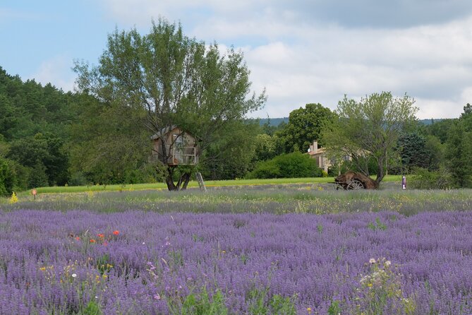 Full Day Private Tour From Avignon