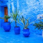 1 full day private trip to chefchaouen the blue city from tangier Full Day Private Trip to Chefchaouen the Blue City From Tangier