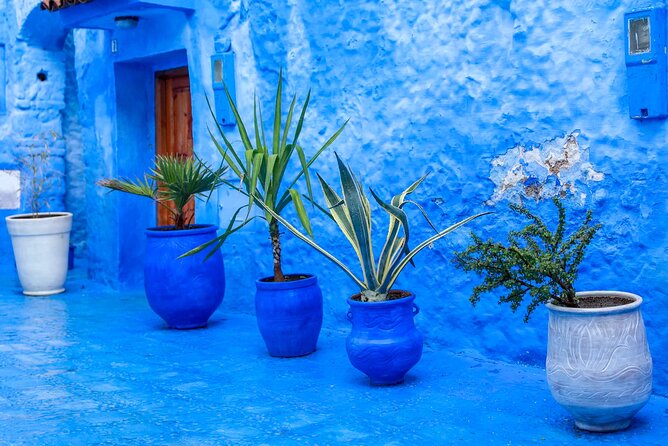 Full Day Private Trip to Chefchaouen the Blue City From Tangier