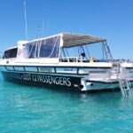 1 full day small group guided snorkeling tour outer reef mar Full-Day Small-Group Guided Snorkeling Tour, Outer Reef (Mar )