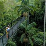 1 full day small group outdoor adventure tamborine mountain mar Full-Day Small-Group Outdoor Adventure. Tamborine Mountain (Mar )