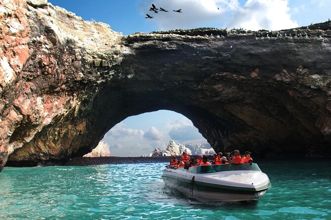 Full Day Tour From Lima: Ballestas Islands and Paracas Reserve