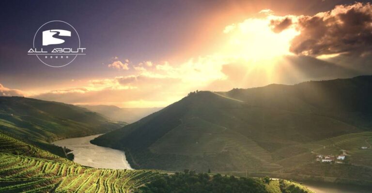 Full Day Tour in Douro: Sightseeing, Wine Tasting and Lunch