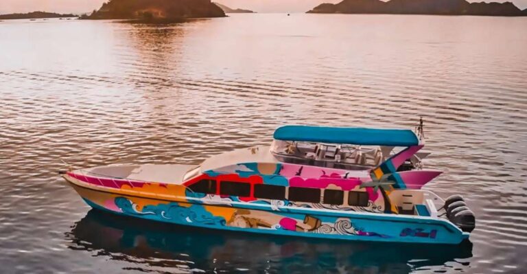 Full Day Tour Komodo Island With Sharing Speedboat