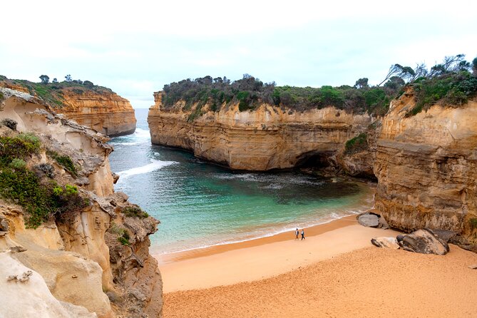 Full Day Tour of Great Ocean Road and 12 Apostles From Melbourne