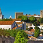 1 full day tour transfer to porto from lisbon with stops Full Day Tour - Transfer to Porto From Lisbon With Stops