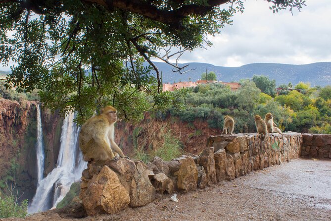 Full Day Trip to Ouzoud Waterfalls From Marrakech.