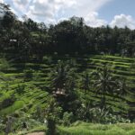 1 full day ubud cultural tour Full-Day Ubud Cultural Tour