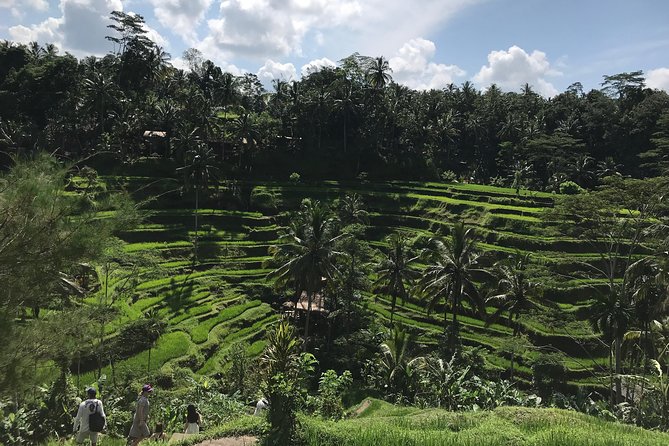 Full-Day Ubud Cultural Tour