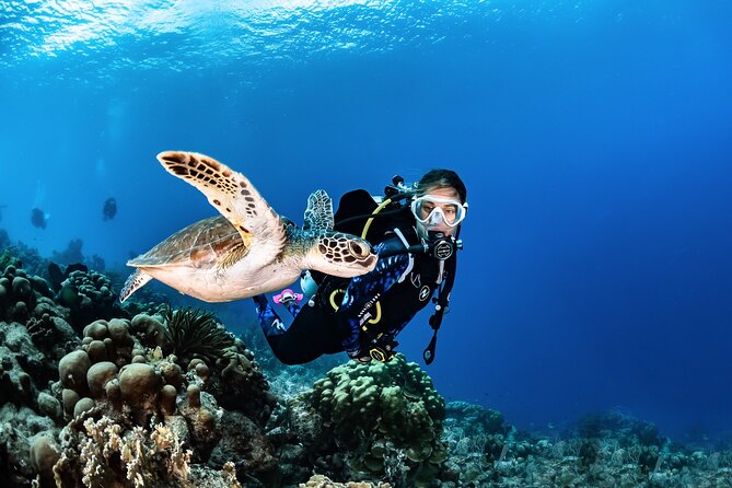 Fun Scuba Diving in Tenerife - Tour Highlights and Inclusions