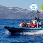 1 funchal dolphin and whale watching cruise Funchal: Dolphin and Whale Watching Cruise