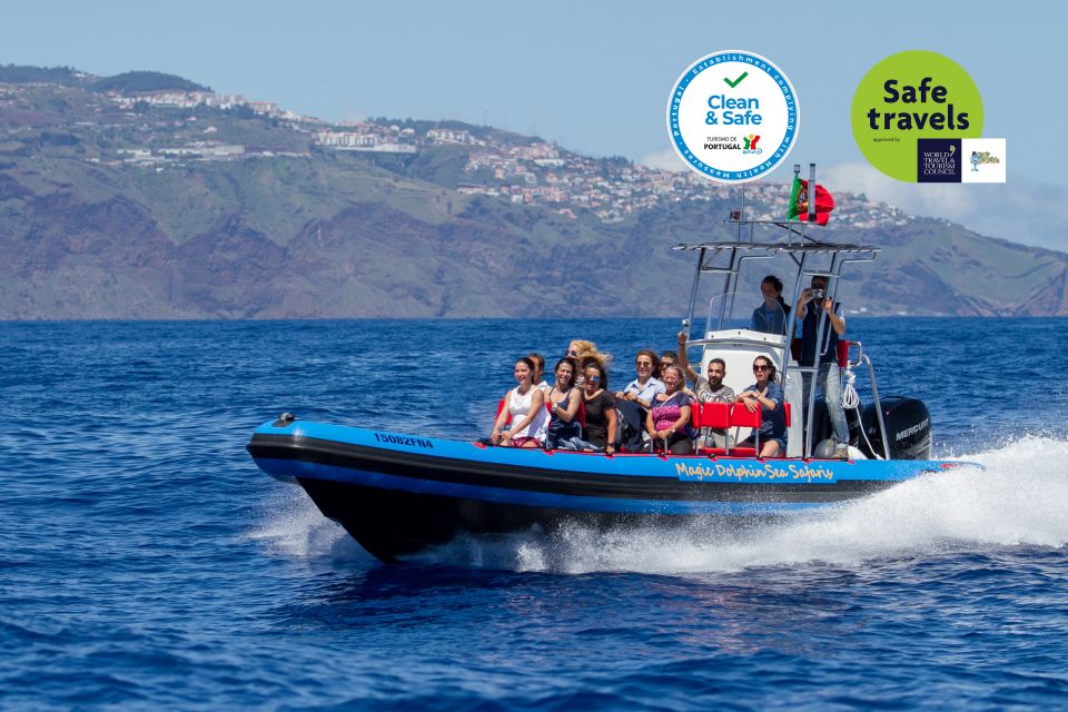 1 funchal dolphin and whale watching cruise Funchal: Dolphin and Whale Watching Cruise