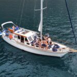 1 funchal dolphin and whale watching sailing trip Funchal: Dolphin and Whale Watching Sailing Trip
