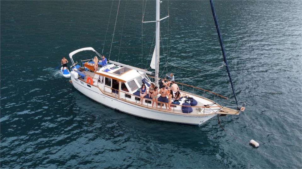 1 funchal dolphin and whale watching sailing trip Funchal: Dolphin and Whale Watching Sailing Trip