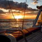 1 funchal dolphin and whale watching sunset sailing tour Funchal: Dolphin and Whale Watching Sunset Sailing Tour