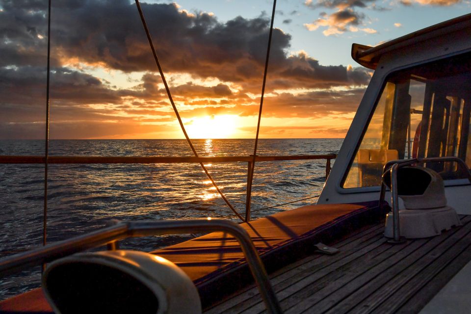 1 funchal dolphin and whale watching sunset sailing tour Funchal: Dolphin and Whale Watching Sunset Sailing Tour