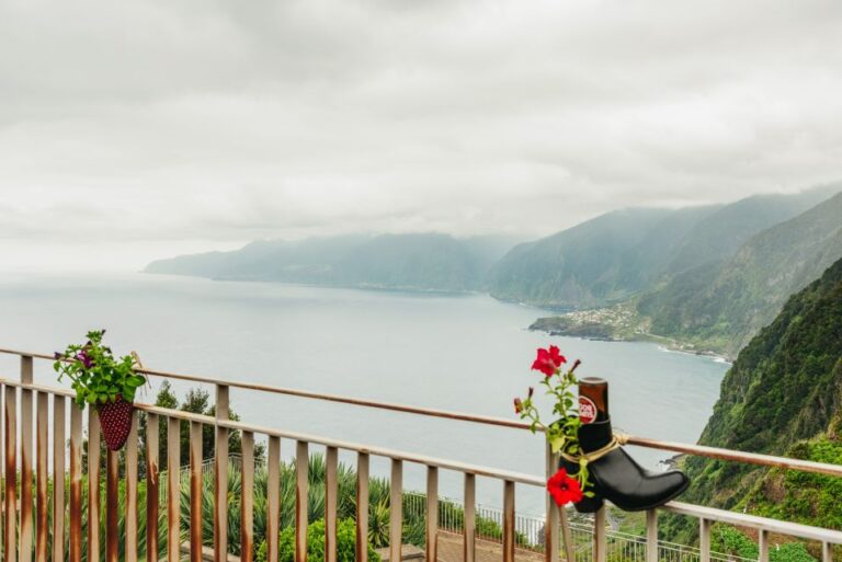 Funchal: Enchanted Terraces, Porto Do Moniz & Fanal 4WD Tour