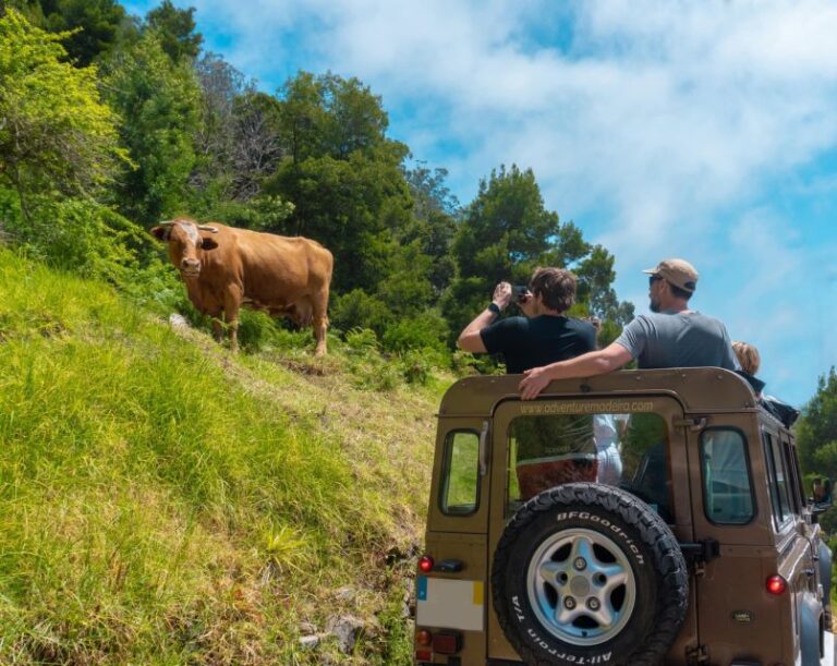 Funchal: Porto Moniz, Fanal Forest and Cabo Girao Jeep Tour