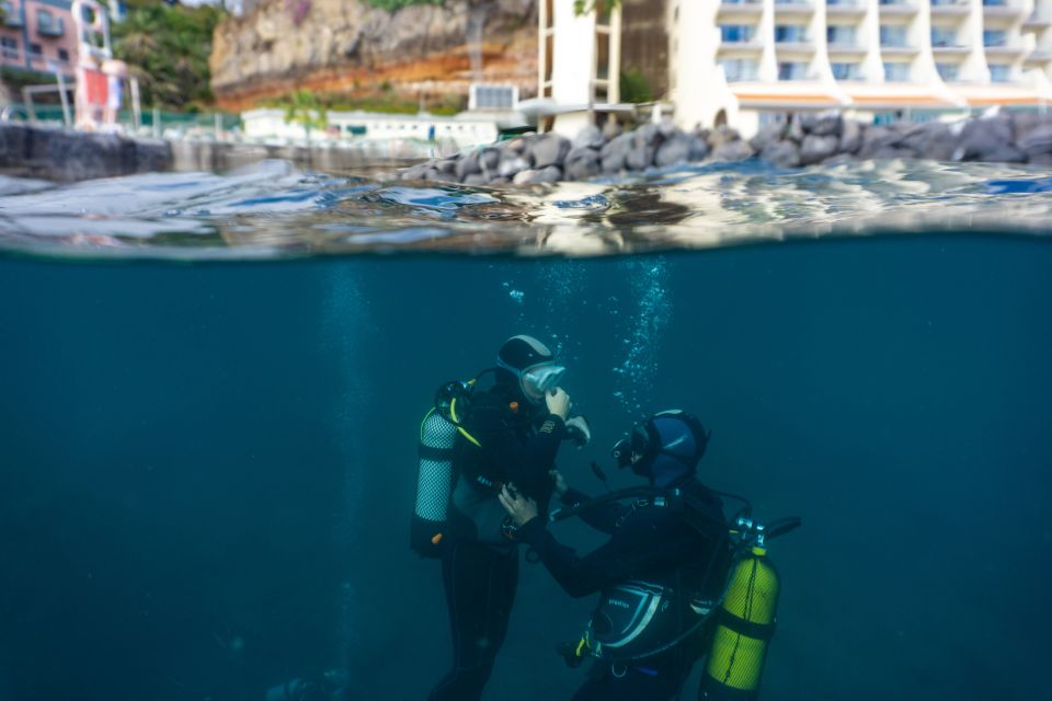 1 funchal scuba diving experience for beginners 2 Funchal: Scuba Diving Experience for Beginners