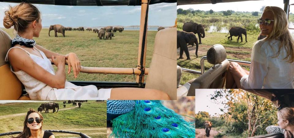 1 galle hikkaduwa to udawalawe national park safari tour Galle (Hikkaduwa) To Udawalawe National Park Safari Tour