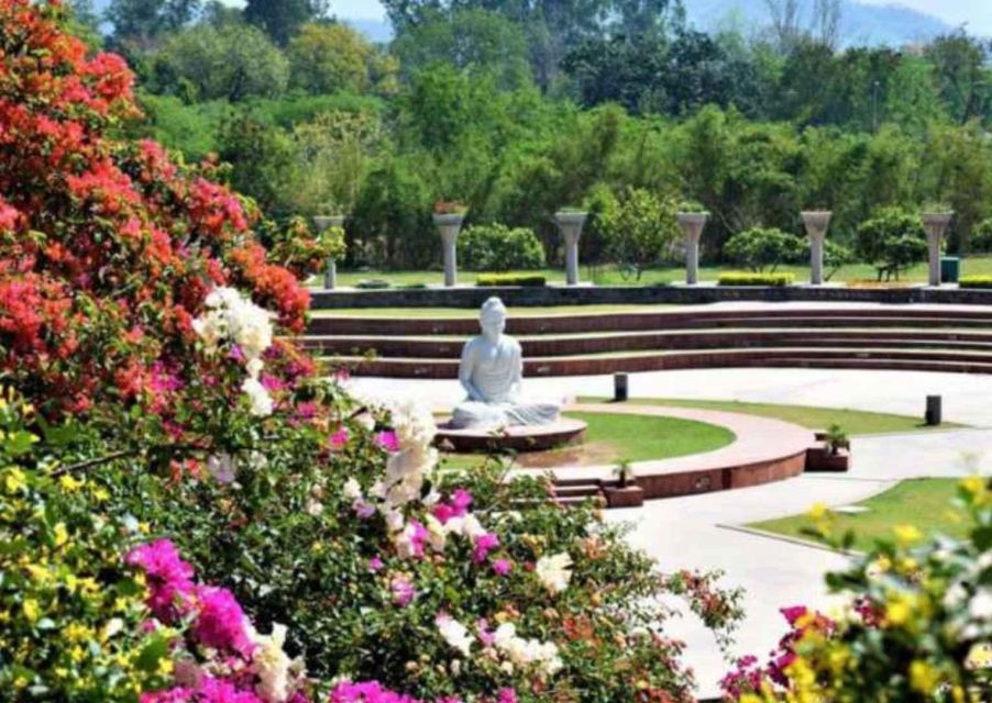1 garden trails of chandigarh guided full day city tour Garden Trails of Chandigarh (Guided Full Day City Tour)