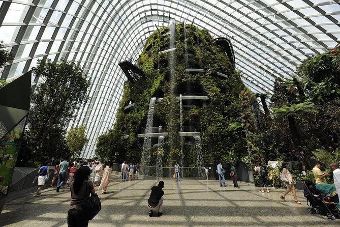 Gardens By The Bay -Flower Dome & Cloud Forest