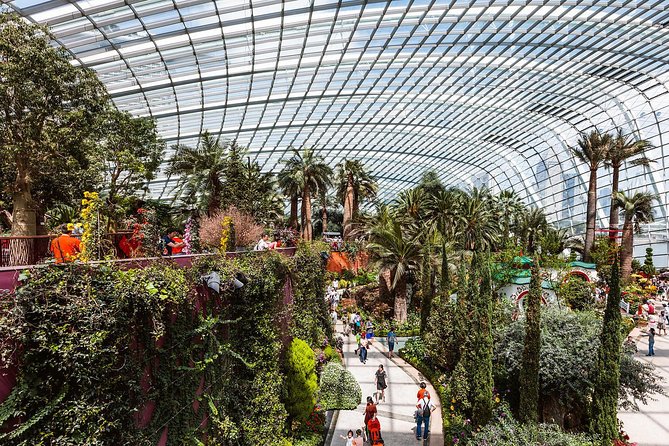 Gardens by the Bay With Both Domes (Small-Group Pickup)  – Singapore