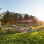 1 general admission to denver botanic gardens ticket General Admission to Denver Botanic Gardens Ticket