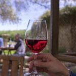 1 get uncorked in clare valley tour from adelaide Get Uncorked in Clare Valley Tour From Adelaide
