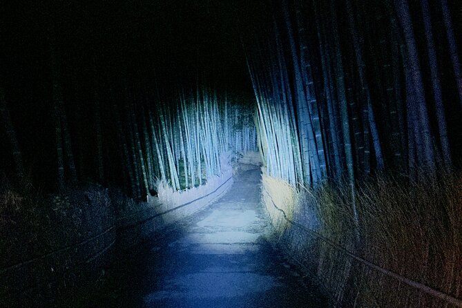 1 ghost hunting in the bamboo forest arashiyama kyoto at night Ghost Hunting in the Bamboo Forest - Arashiyama Kyoto at Night