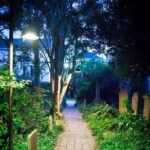 1 ghosts of charleston night time walking tour with unitarian church graveyard Ghosts of Charleston Night-Time Walking Tour With Unitarian Church Graveyard