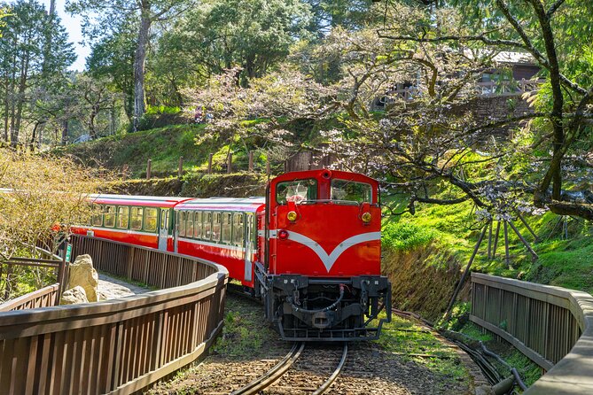 Giant Tree Trail & Alishan Forest Railway Full Day Tour