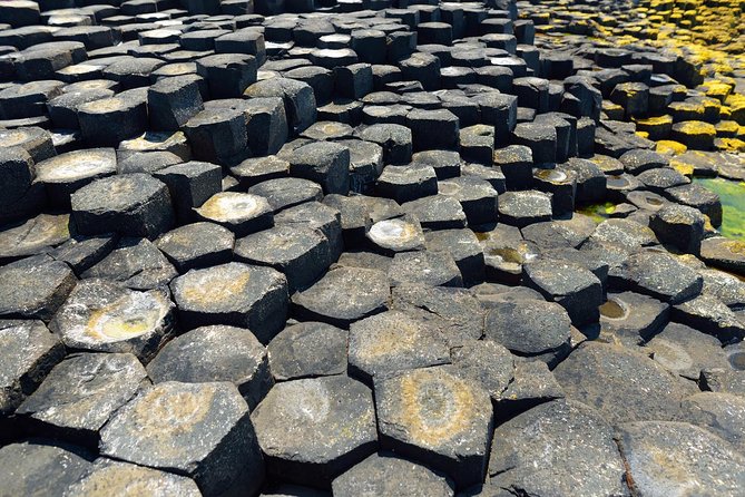 Giants Causeway, Dark Hedges and More Sites on a Private Tour