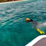 1 gili islands 3 island one day trip with snorkeling Gili Islands: 3 Island One-Day Trip With Snorkeling