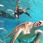 1 gili islands private or shared snorkeling boat trip Gili Islands: Private or Shared Snorkeling Boat Trip
