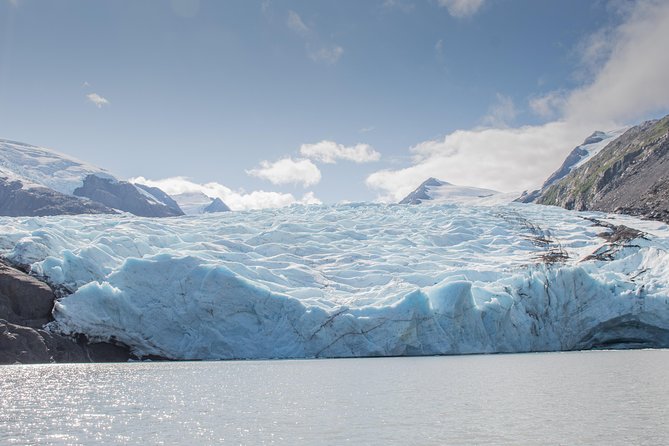 1 glaciers and wildlife super scenic day tour from anchorage Glaciers and Wildlife: Super Scenic Day Tour From Anchorage