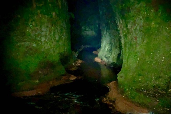 Glasgow: Discover a Hidden Valley After Dark (Mar )