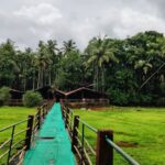 1 goa spice plantation tour and traditional local lunch Goa: Spice Plantation Tour and Traditional Local Lunch