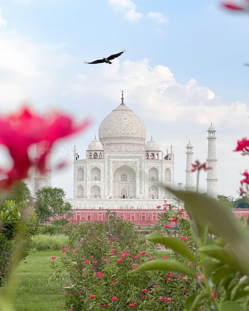 Golden Triangle Highlights: 2-Day Excursion From Delhi