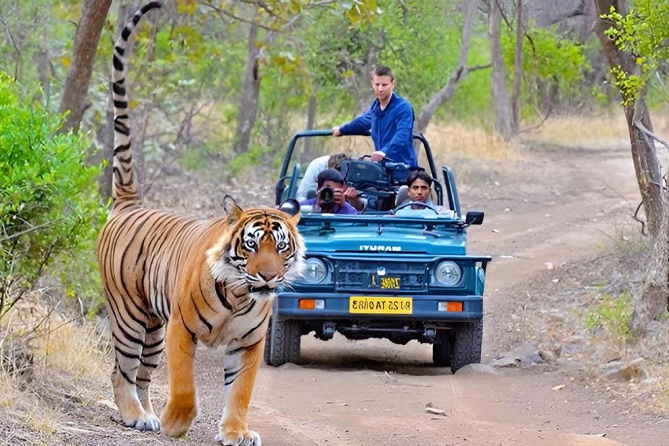 1 golden triangle safari delhi agra jaipur safari 4d3n Golden Triangle & Safari: Delhi, Agra, Jaipur & Safari 4D3N