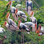 1 golden triangle tour with bharatpur Golden Triangle Tour With Bharatpur