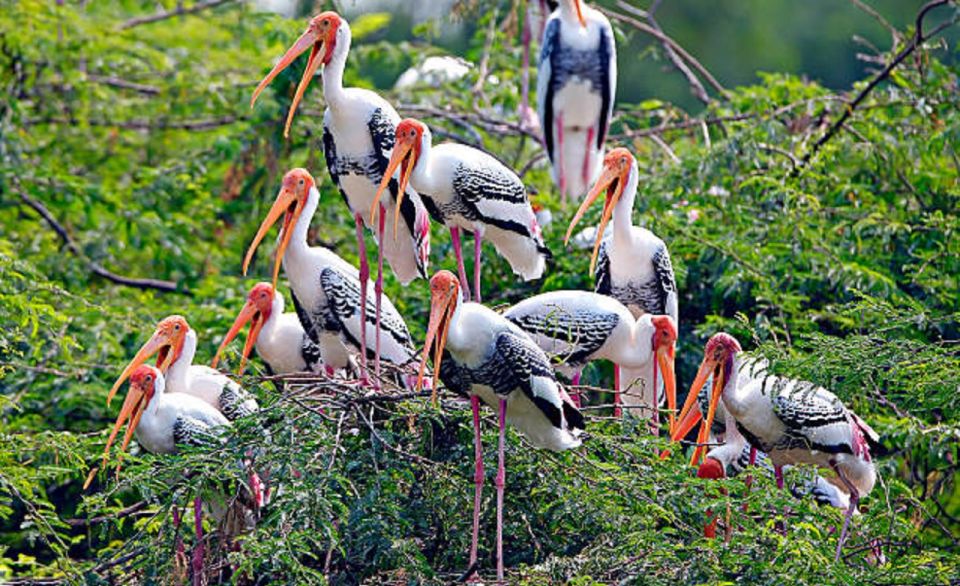 1 golden triangle tour with bharatpur Golden Triangle Tour With Bharatpur